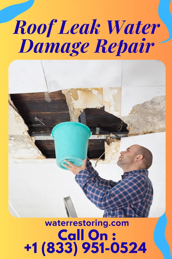 Roof Leak Water Damage Repair in Hurley, NM